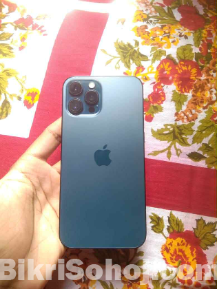Apple 12 pro max
